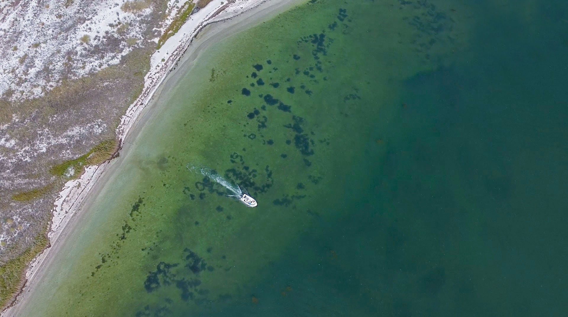 Осеннее приморье: нетипичные маршруты для путешествий на Азовском побережье